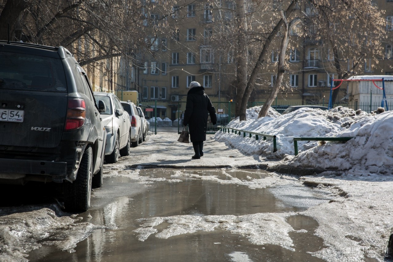 Потепление в новосибирске