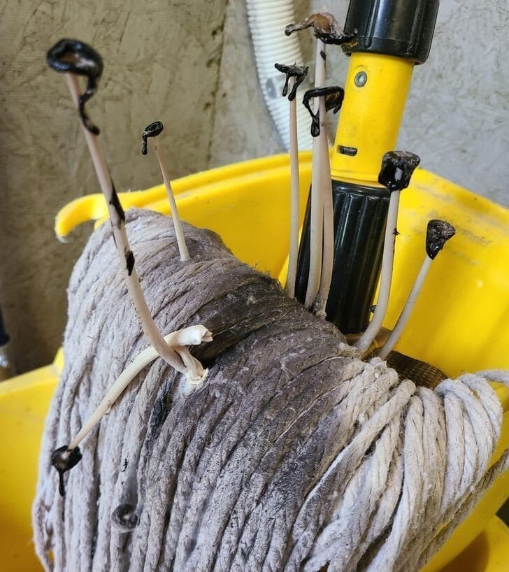 Фотография: 33 любопытных и редких находки, которыми люди поделились в сети №31 - BigPicture.ru