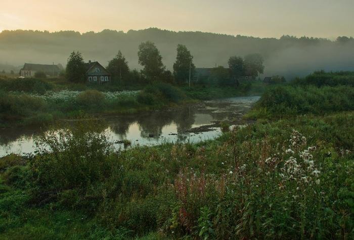 Вепсский лес Вепский лес, Ленинградская область, природа, туризм