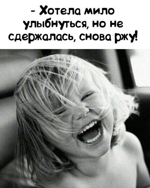 Пёстрая коллекция юмора Пёстрая коллекция юмора