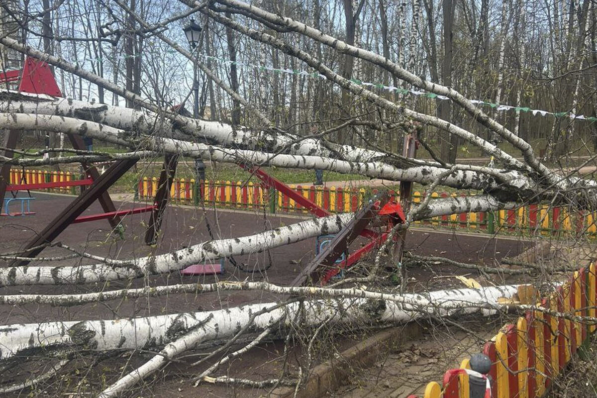 В Красногорске дерево рухнуло на детскую площадку, где играла девочка