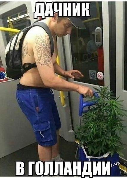 Давайте улыбаться вместе :) Давайте улыбаться вместе :)