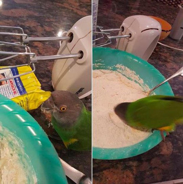 Интересная Фотоподборка выходных Интересная Фотоподборка выходных