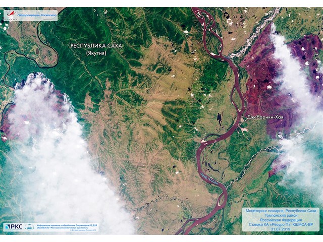 Юрий Селиванов: Зачем на самом деле Трамп позвонил Путину? геополитика