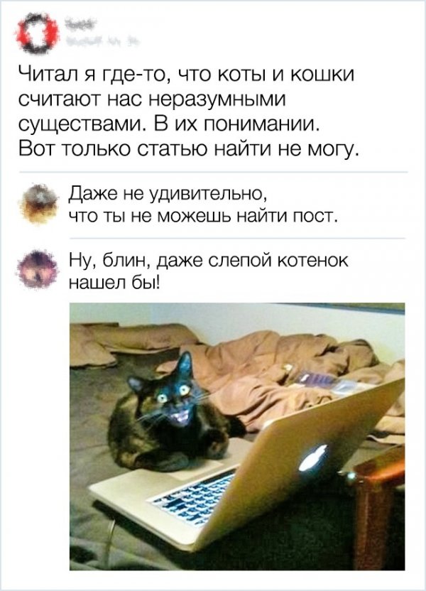 Тот случай, когда комментарий лучше поста