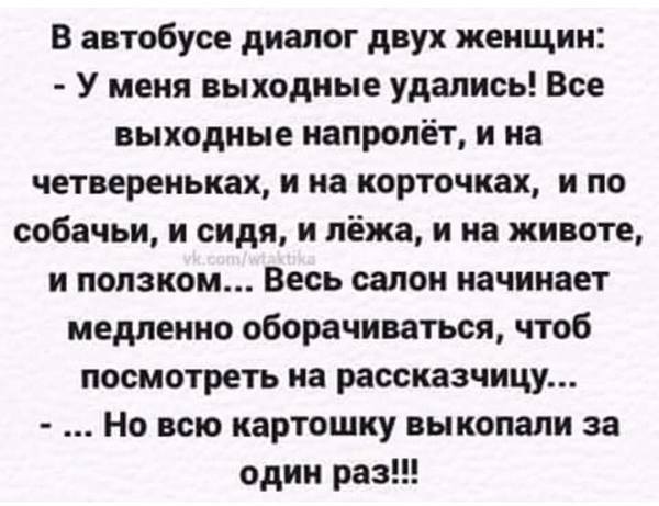 Большинство мужчин похожи на псов. На вид грозные, любят рычать... весёлые