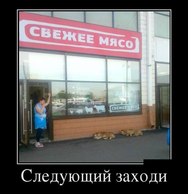 Демотиваторы на любой вкус и три выхода 