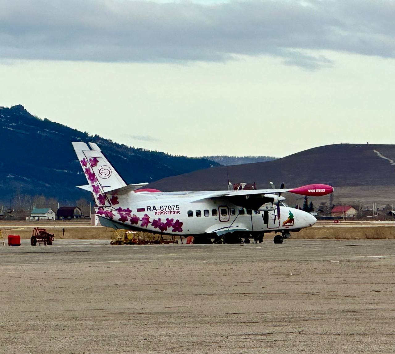 Самолет задержался с приземлением в Чите из-за собак на взлетно-посадочной полосе