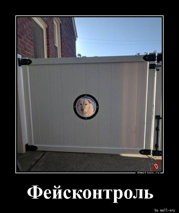 Демотиваторы на любой вкус и три выхода 