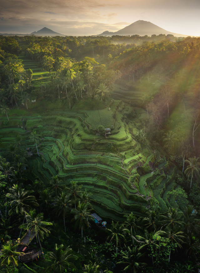 Лучшие работы фотоконкурса #Aerial2020 Contest aerial2020,фотографии