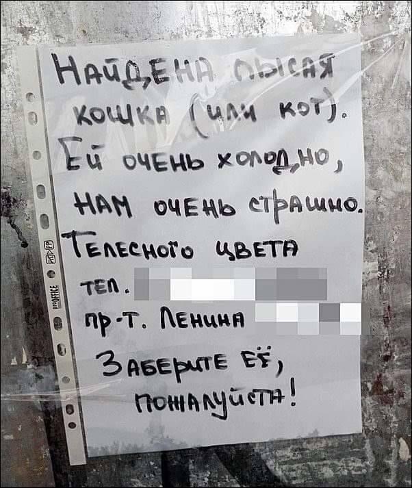 У всех проблем одно начало… Сидела женщина. Скучала… великая, Когда, октябрьская, революция, должно, Михайлова, чтобы, между, судью, когда, больше, Стаса, лучше, расскажите, позавчеpа, улицу, скажет, долой, паpнем, отправится