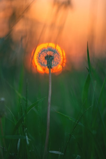 Позитивные картинки и классные фотографии для улыбки красивые фотографии,угарные фотки,фото приколы,шикарные фотографии