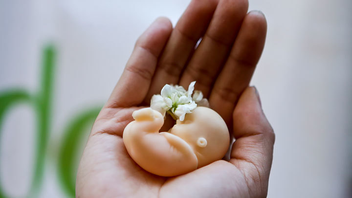 Убийства за наш счёт: Атака на академика Аполихина