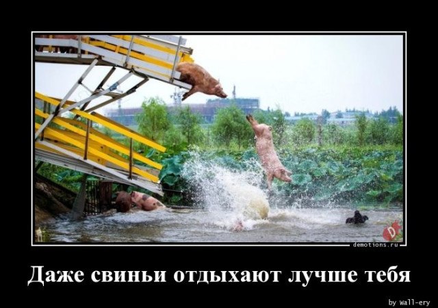 Демотиваторов пост: «Мамой клянусь!»  