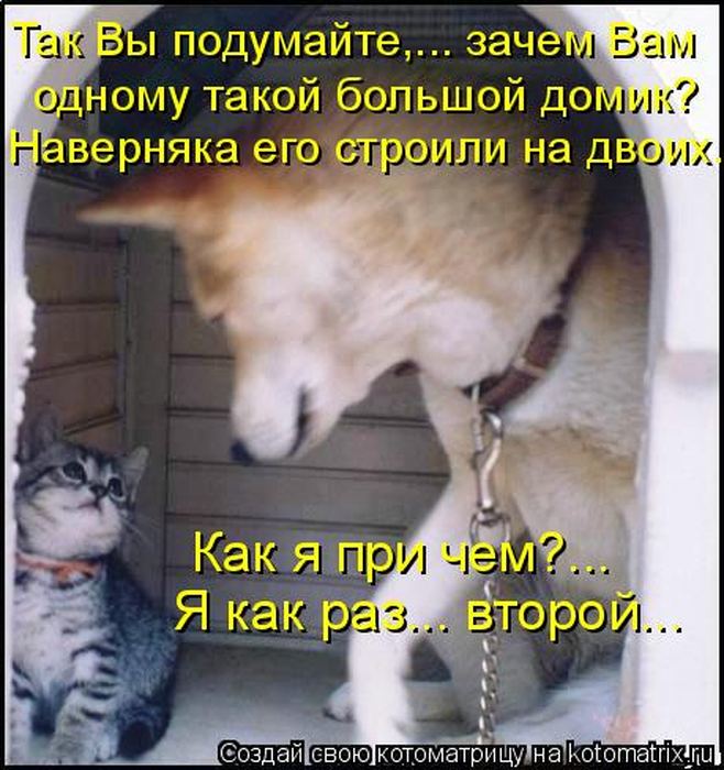 Мысли вслух :)