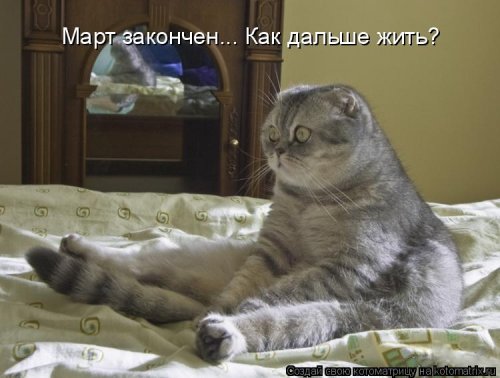 Новая котоматрица на выходные Новая котоматрица на выходные