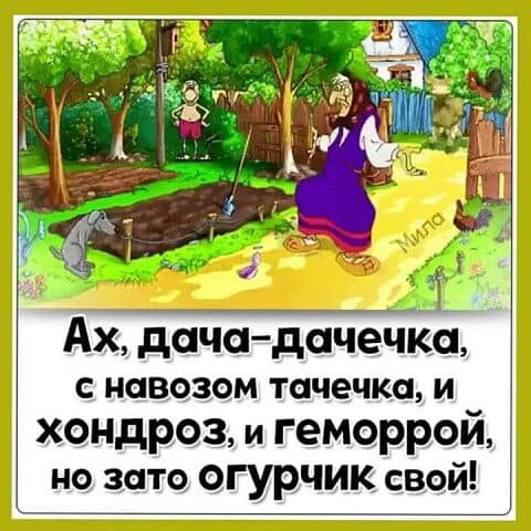 Звонок на радио: — А у нас звонок в студию. Здравствуйте!... Вовочка, этого, жизнь, можно, говорит, англичанину, начал, очень, французы, девочкам, человек, Директор, наливают, исправить, предлагают, сказал, целую, привет, Бывает, Угощайся