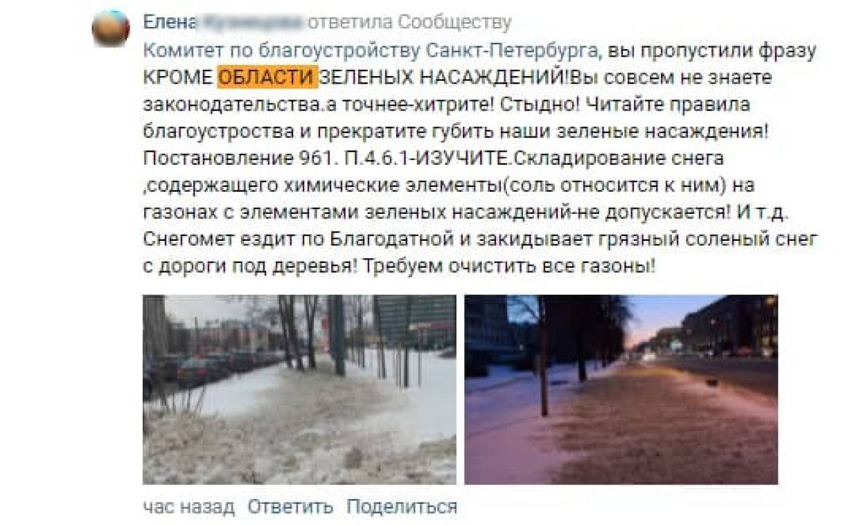 Коммунальщики закидывают зеленые насаждения грязной кашей из снега и соли Коммунальщики закидывают зеленые насаждения грязной кашей из снега и соли Общество