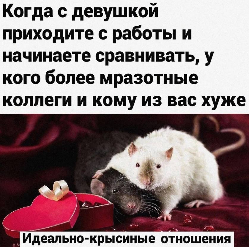 Иногда даешь человеку шанс, а надо было давать леща 