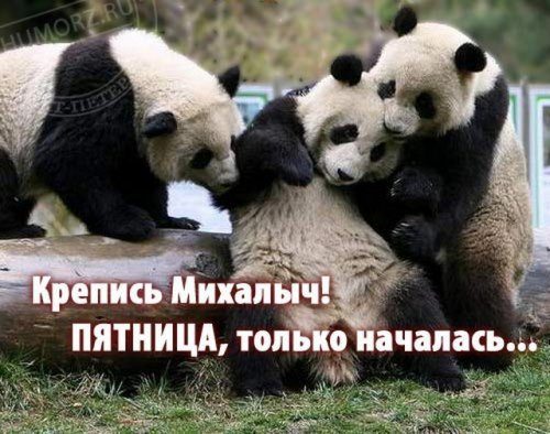 Настоящая атмосфера позитива Настоящая атмосфера позитива