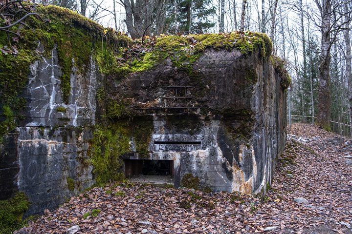 ТАЙНА РУССКОЙ РАЗВЕДКИ: ПЛАН ПОБЕДЫ НА УКРАИНЕ история,разведка