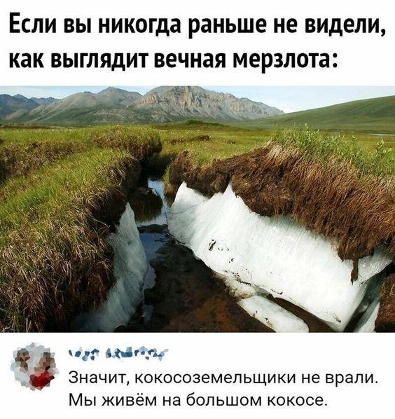 Очень смешные и ржачные до слез картинки