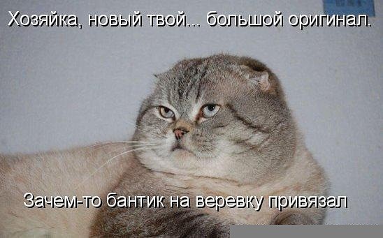 Видел у своего приятеля Сереги на холодильнике кучу магнитиков.. анекдоты,веселье,демотиваторы,приколы,смех,юмор