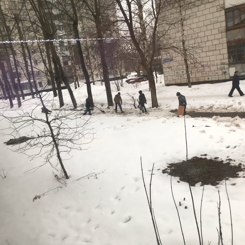 Детский труд, бессмысленный и бесплатный