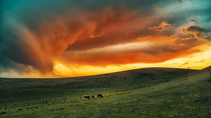 云涌杏花沟 by 君子务本  on 500px.com