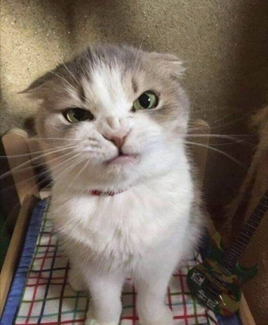 Фотоподборка вторника Фотоподборка вторника