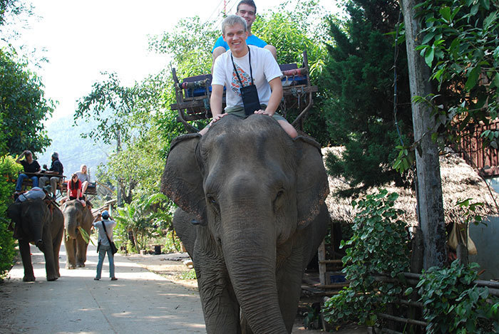 На территории комплекса Ангкор-Ват наконец-то запретят кататься на слонах после, АнгкорВат, будет, слонах, туристов, слонов, чтобы, охране, комитета, местного, сотрудников, развлечением, ужасающим, покончить, подписи, петицией, путешественники, поставили, человек, тысяч