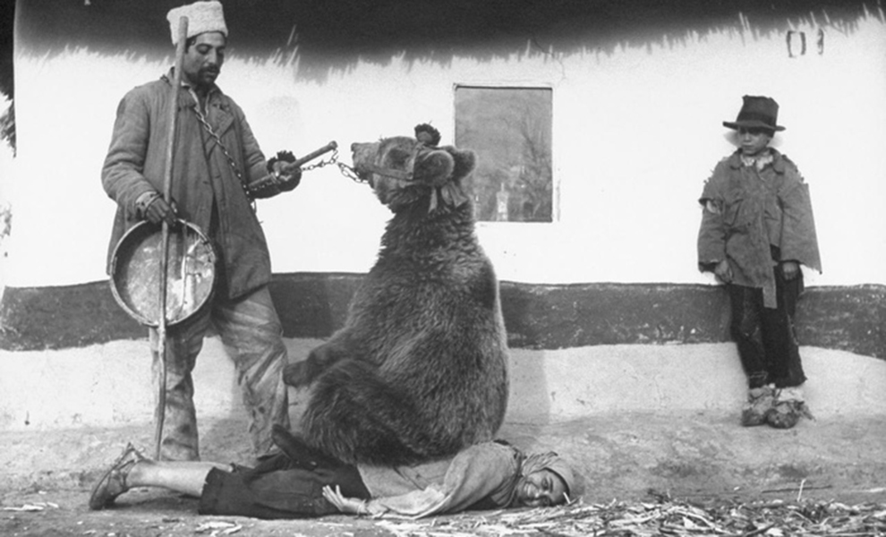 Румынский цыган лечит медведем спину женщины: фото из 1946 года Культура