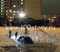 Купание коня цвета «баклажан» (c видео)