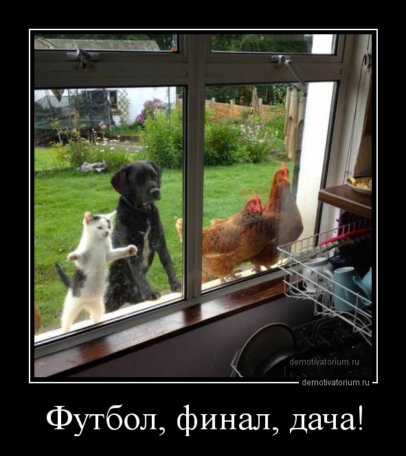 ������� ����� � ����