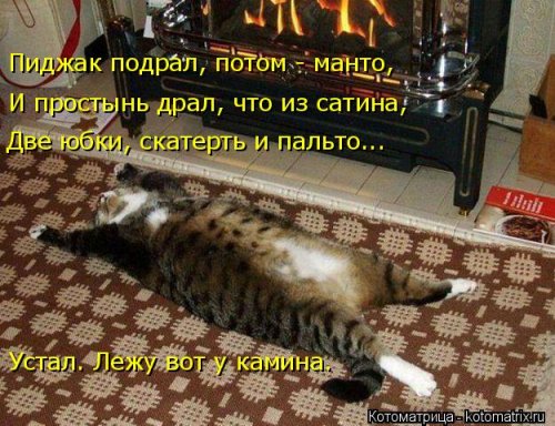 Новая котоматрица на выходные Новая котоматрица на выходные