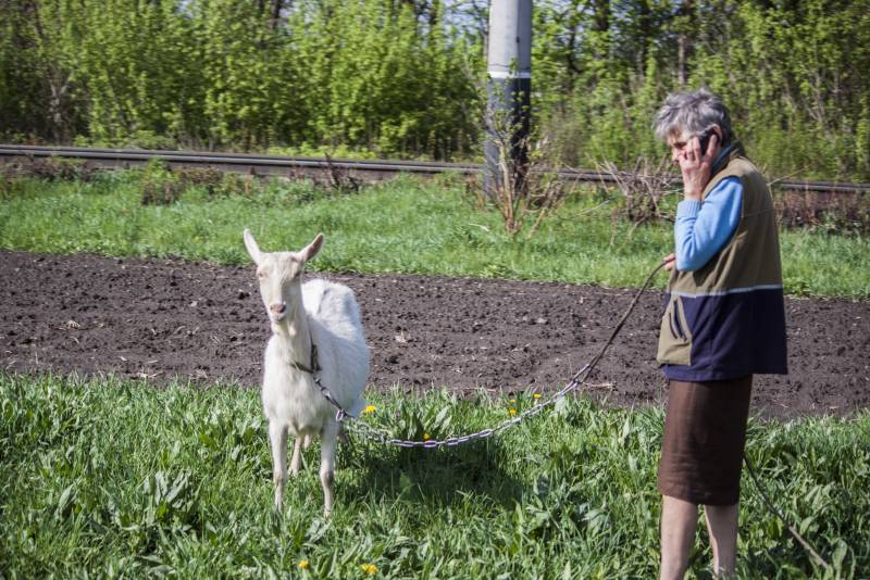 Записки Колорадского Таракана. Междупраздничные размышления украина