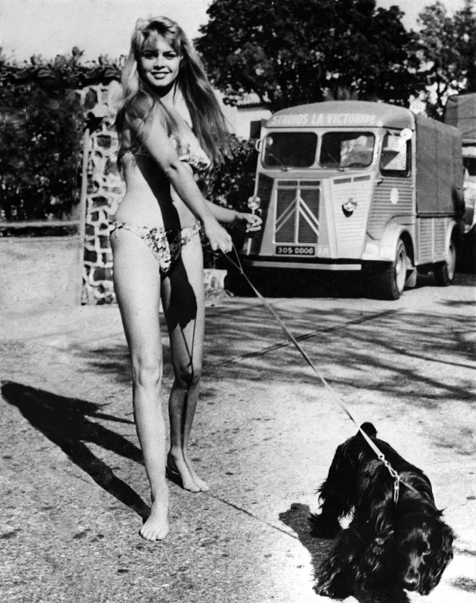 Cleo Bardot