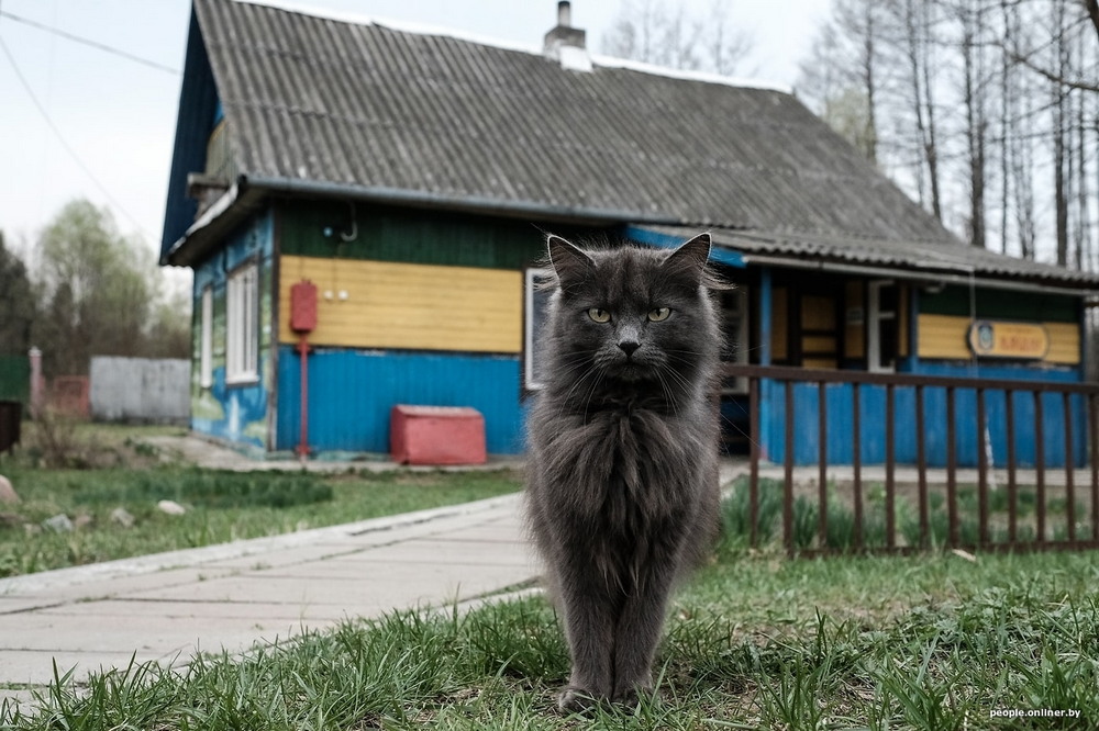 Весна и кресты: репортаж мертвой деревни, которая иногда оживает