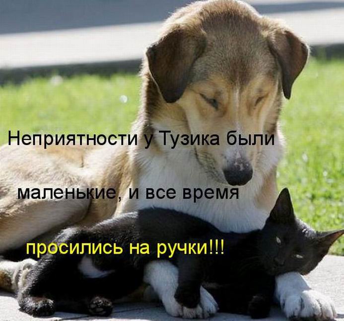 Мысли вслух :)