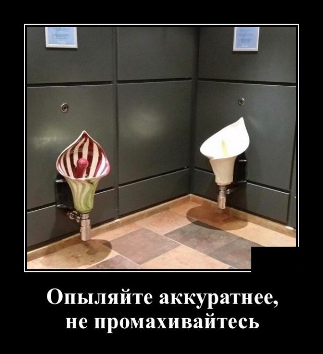 Самые классные демотиваторы