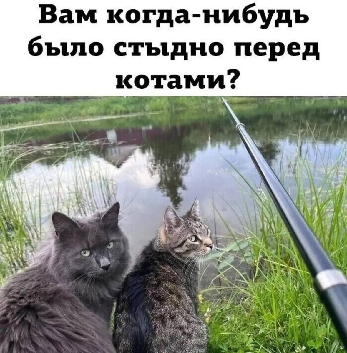 Юмор за день и раздвоение личности 