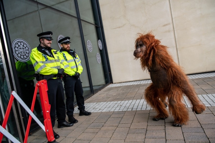 Фотоподборка 