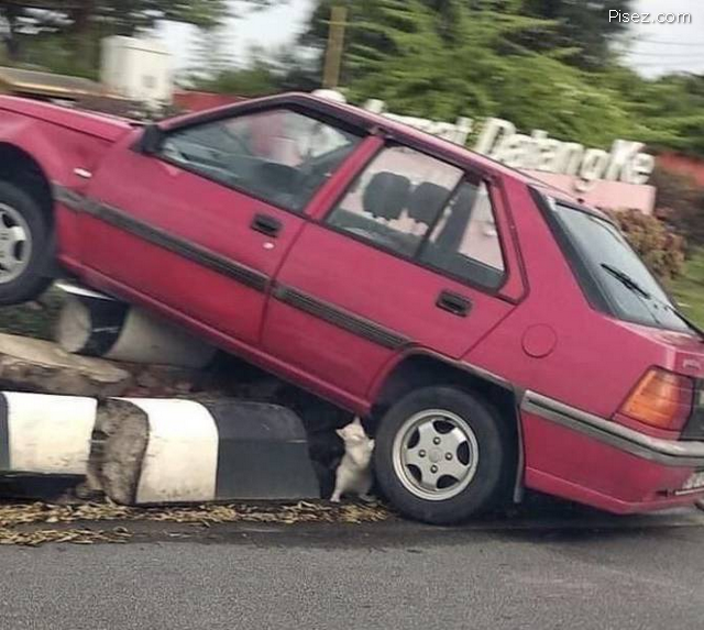 Автомобильные приколюхи дня