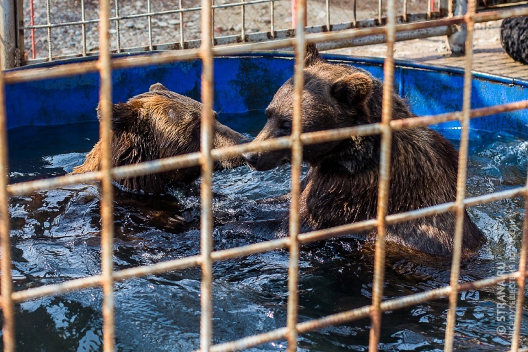 История о том, как из мусорной свалки в Сибири сделали средневековую крепость История о том, как из мусорной свалки в Сибири сделали средневековую крепость идеи,Иркутск,мусор,свалка,Сибирь