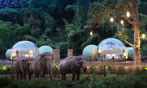 Таиланд: ночь в отеле-пузыре
