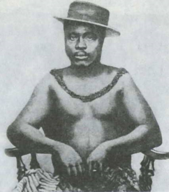 Тачанка, она и в Африке тачанка история