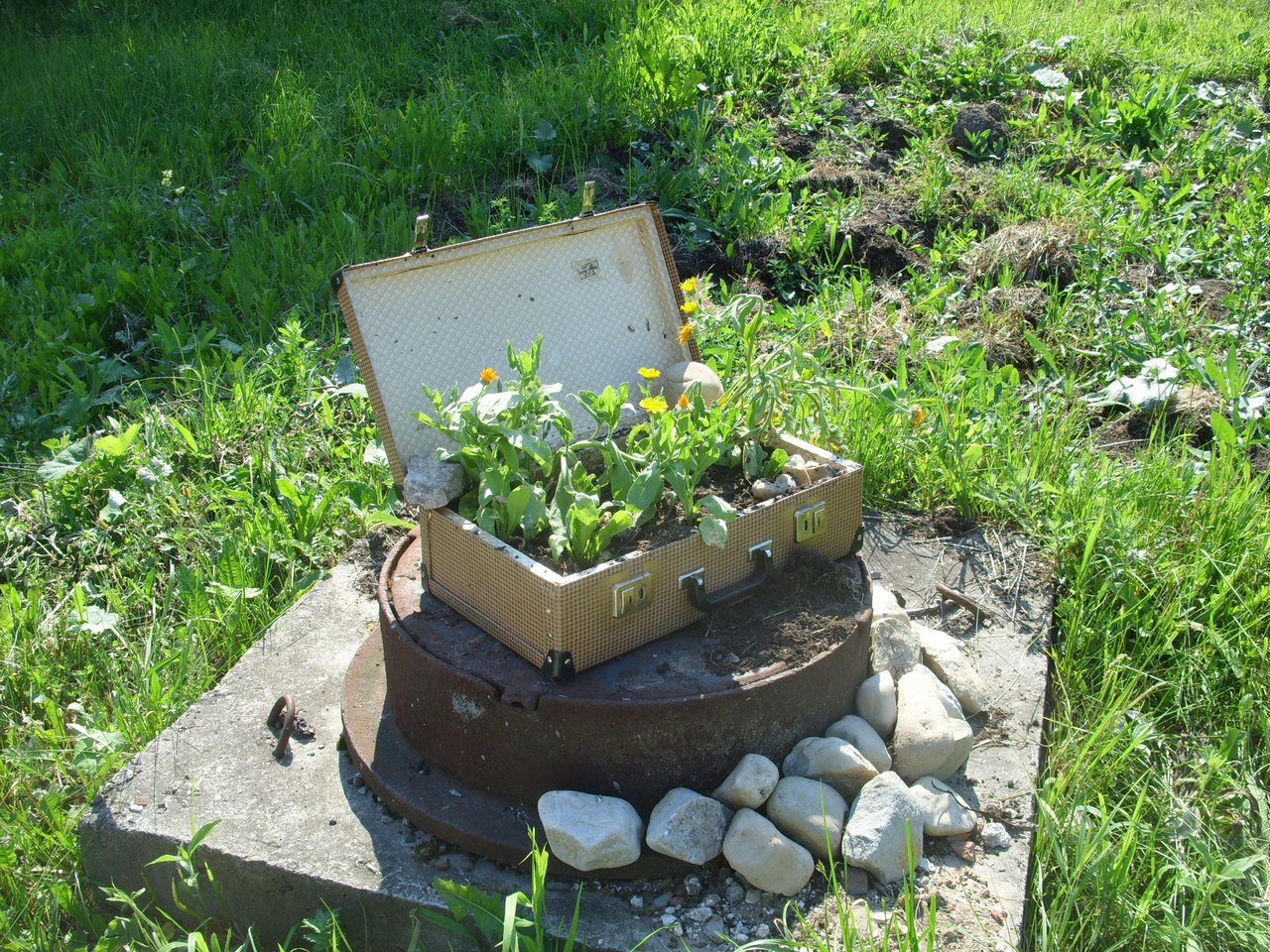 Соликамский огороды