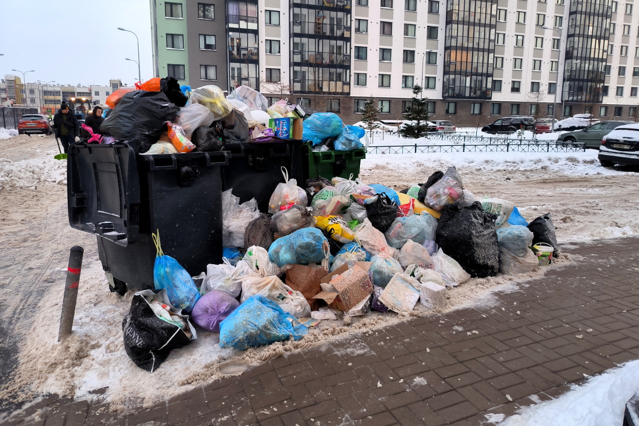 Сейчас помойка