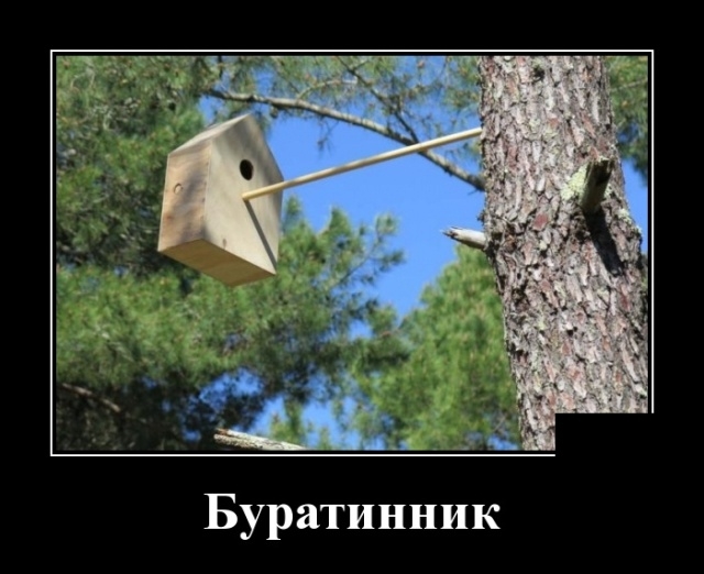 Демотиваторы 11 февраля 