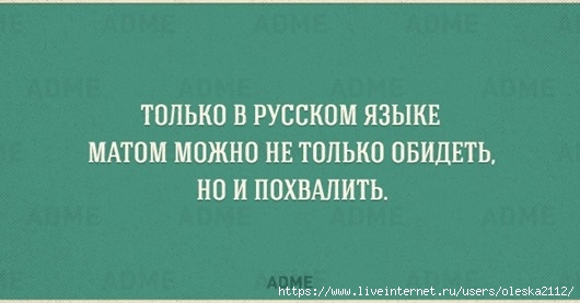 Особенности русского языка в весёлых картинках :-))) истории из жизни